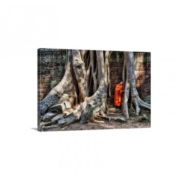 Monk Reading In Ta Prohm Temple In Angkor Wat Cambodia Wall Art - Canvas - Gallery Wrap