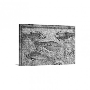 Mosaic Of The Fish Of La Pineda Beg 3rd C Detail Roman Art Wall Art - Canvas - Gallery Wrap