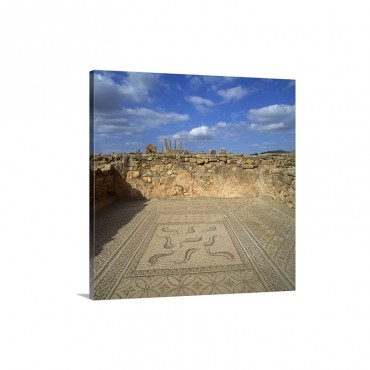 Mosaics From The Third Century Roman City Of Volubilis Morocco North Africa Wall Art - Canvas - Gallery Wrap