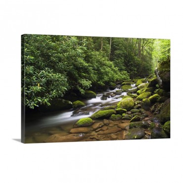 Moss Covered Boulders Along Roaring Fork Little Pigeon River Great Smoky Mountains National Park Tennessee Wall Art - Canvas - Gallery Wrap