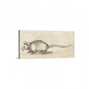 Mouse By Albrecht Durer C 1480 1520 German Drawing Pen And Ink On Paper Wall Art - Canvas - Gallery Wrap