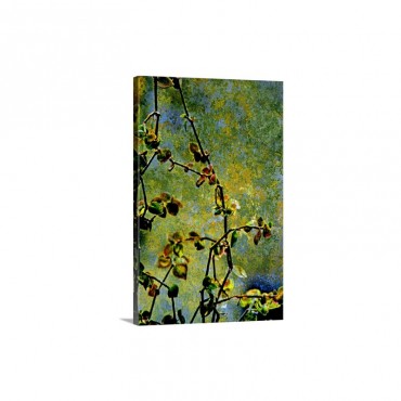 Nature Wall Art - Canvas - Gallery Wrap