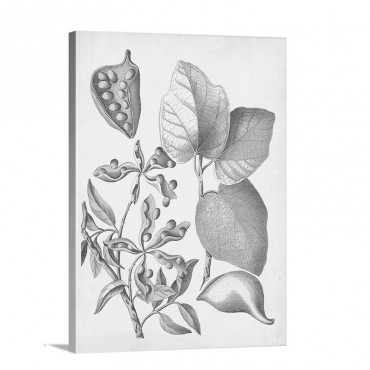 Ochre Botanical I I I Wall Art - Canvas - Gallery Wrap