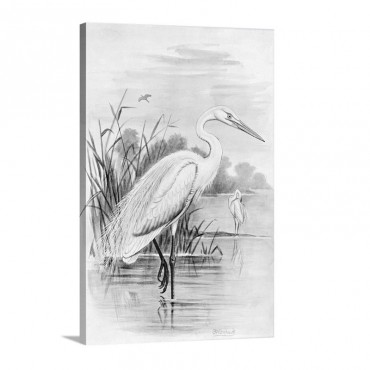 Oversize White Heron Wall Art - Canvas - Gallery Wrap