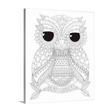 Owl Dude