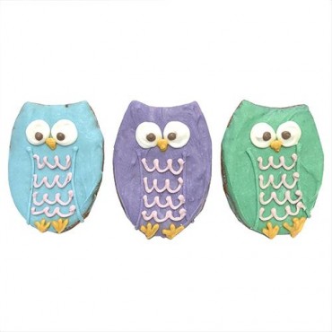 Owls - Case of 12