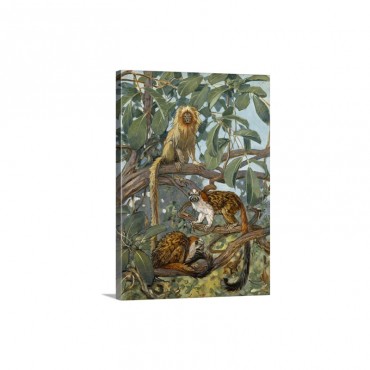 Painting Of Marmosets In The Jungle Canopy Wall Art - Canvas - Gallery Wrap