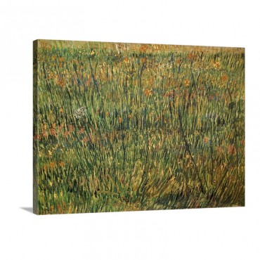 Pasture In Bloom Wall Art - Canvas - Gallery Wrap