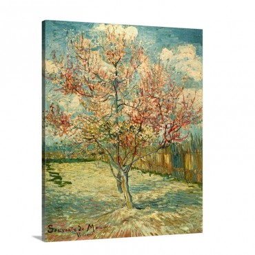 Peach Blossoming Souvenir De Mauve By Vincent Van Gogh 1888 Kroller Muller Museum Wall Art - Canvas - Gallery Wrap