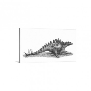 Pencil Drawing Of Gigantspinosaurus Sichuanensis Wall Art - Canvas - Gallery Wrap