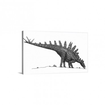 Pencil Drawing Of Tuojiangosaurus Trying To Ingest Small Rocks Wall Art - Canvas - Gallery Wrap