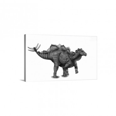 Pencil Drawing Of Wuerhosaurus Homheni Standing On Its Hind Legs Wall Art - Canvas - Gallery Wrap