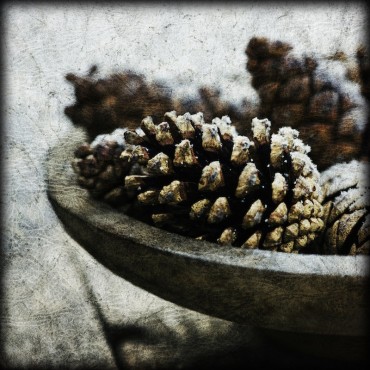 Pine Cones In Weathered Wooden Bowl