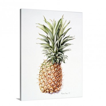 Pineapple 1997 Wall Art - Canvas - Gallery Wrap