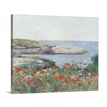 Poppies Isles Of Shoals America By Childe Hassam 1891 Wall Art - Canvas - Gallery Wrap