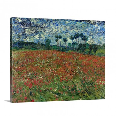 Poppy Field By Vincent Van Gogh Wall Art - Canvas - Gallery Wrap