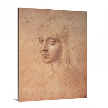 Portrait Of A Girl By Leonardo Da Vinci 1483 1484 Royal Library Turin Italy Wall Art - Canvas - Gallery Wrap