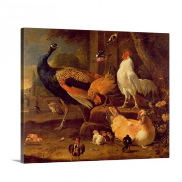 Poultry C 1670 Wall Art - Canvas - Gallery Wrap