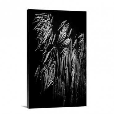 Reeds Wall Art - Canvas - Gallery Wrap