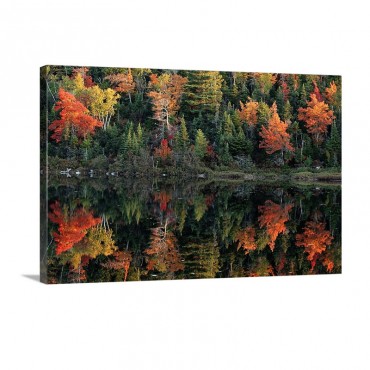 Reflection Of Autumn Foliage In Water Canada Wall Art - Canvas - Gallery Wrap