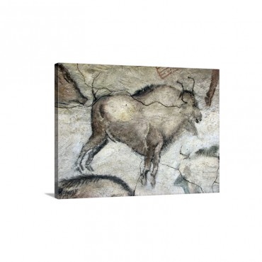 Replica Of Cave Painting Of Bison From Altamira Cave Wall Art - Canvas - Gallery Wrap
