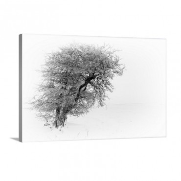 Resiliance Wall Art - Canvas - Gallery Wrap