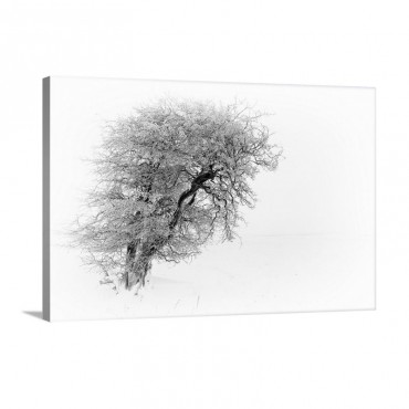 Resiliance Wall Art - Canvas - Gallery Wrap