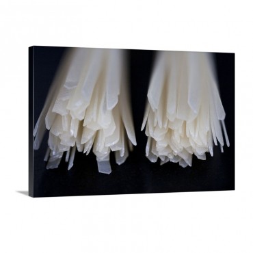 Rice Ribbon Noodles Wall Art - Canvas - Gallery Wrap