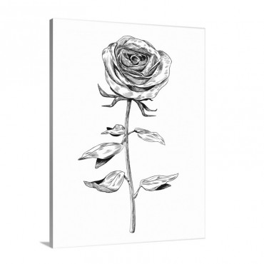 Rose Wall Art - Canvas - Gallery Wrap