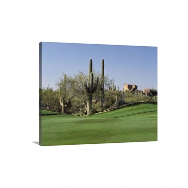 Saguaro Cacti In A Golf Course Troon North Golf Club Scottsdale Maricopa County Arizona Wall Art - Canvas - Gallery Wrap