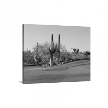Saguaro Cacti In A Golf Course Troon North Golf Club Scottsdale Maricopa County Arizona Wall Art - Canvas - Gallery Wrap