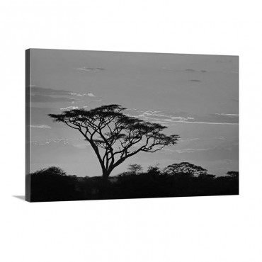 Silhouette Of Trees In A Field Ngorongoro Conservation Area Arusha Region Tanzania Wall Art - Canvas - Gallery Wrap