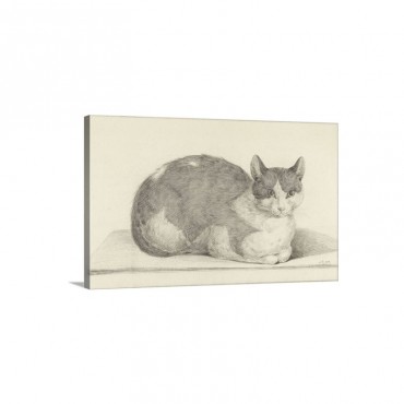 Sitting Cat Facing Right By Jean Bernard 1798 Dutch Chalk And Pencil Drawing Wall Art - Canvas - Gallery Wrap