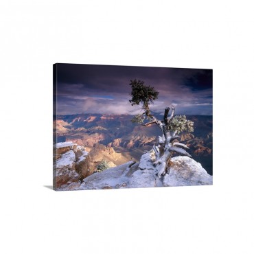 South Rim Of Grand Canyon With A Dusting Of Snow Seen From Yaki Point Wall Art - Canvas - Gallery Wrap
