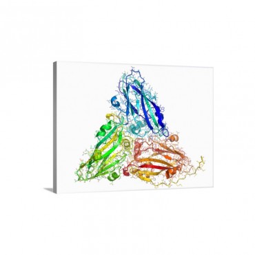Southern Bean Mosaic Virus Capsid Protein Wall Art - Canvas - Gallery Wrap