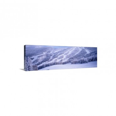 Steamboat Ski Area In the Rocky Mountains Steamboat Springs CO Wall Art - Canvas - Gallery Wrap