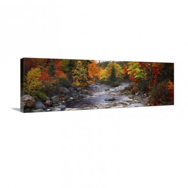 Stream With Trees In A Forest In Autumn Nova Scotia Canada Wall Art - Canvas - Gallery Wrap