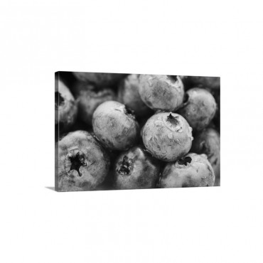 Studio Shot Of Blueberries Wall Art - Canvas - Gallery Wrap