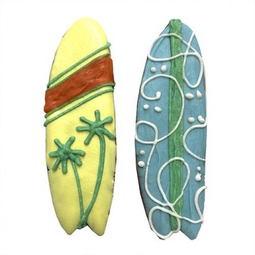 Surfboards - Case of 12