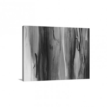 Forms in Harmony Wall Art - Canvas - Gallery Wrap
