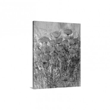 Flower Fields I Wall Art - Canvas - Gallery Wrap