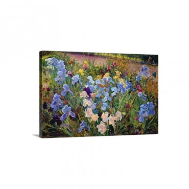 The Iris Bed, 1993 Wall Art - Canvas - Gallery Wrap