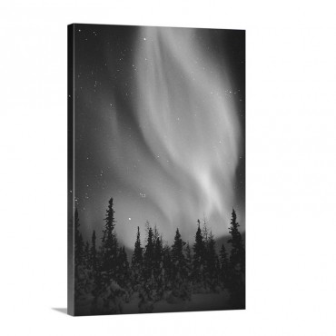 The Aurora Borealis Shimmers In The Sky Canada Wall Art - Canvas - Gallery Wrap