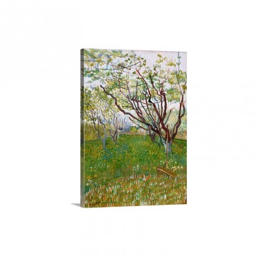 The Flowering Orchard By Vincent Van Gogh Wall Art - Canvas - Gallery Wrap