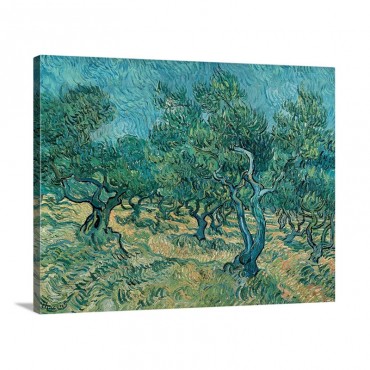 The Olive Grove Wall Art - Canvas - Gallery Wrap