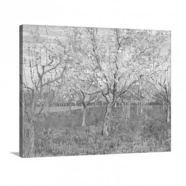 The Pink Orchard By Vincent Van Gogh Wall Art - Canvas - Gallery Wrap