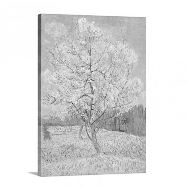 The Pink Peach Tree By Vincent Van Gogh Wall Art - Canvas - Gallery Wrap