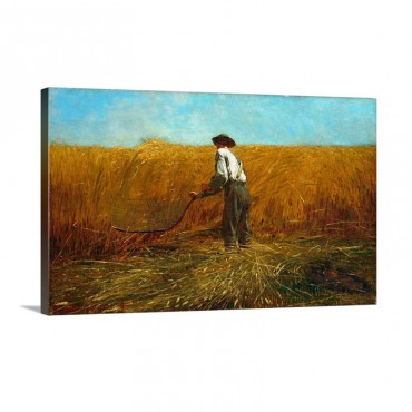 The Veteran In A New Field Wall Art - Canvas - Gallery Wrap