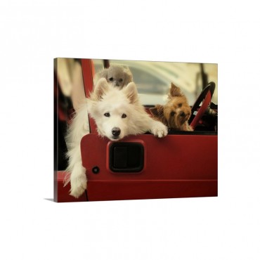 Three Dogs In A Red Car Wall Art - Canvas - Gallery Wrap