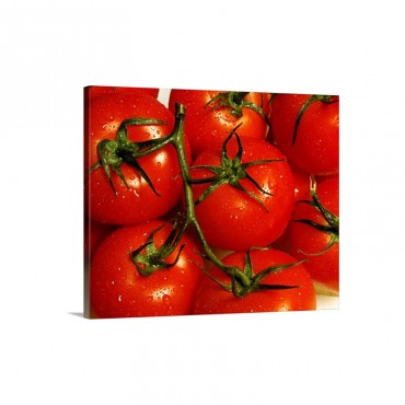 Tomatoes Wall Art - Canvas - Gallery Wrap